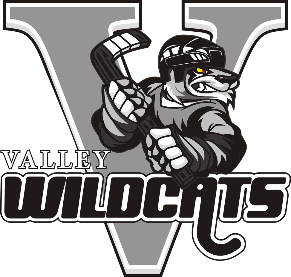 Valley Wildcats 2013-Pres Primary Logo v2 iron on transfers for T-shirts